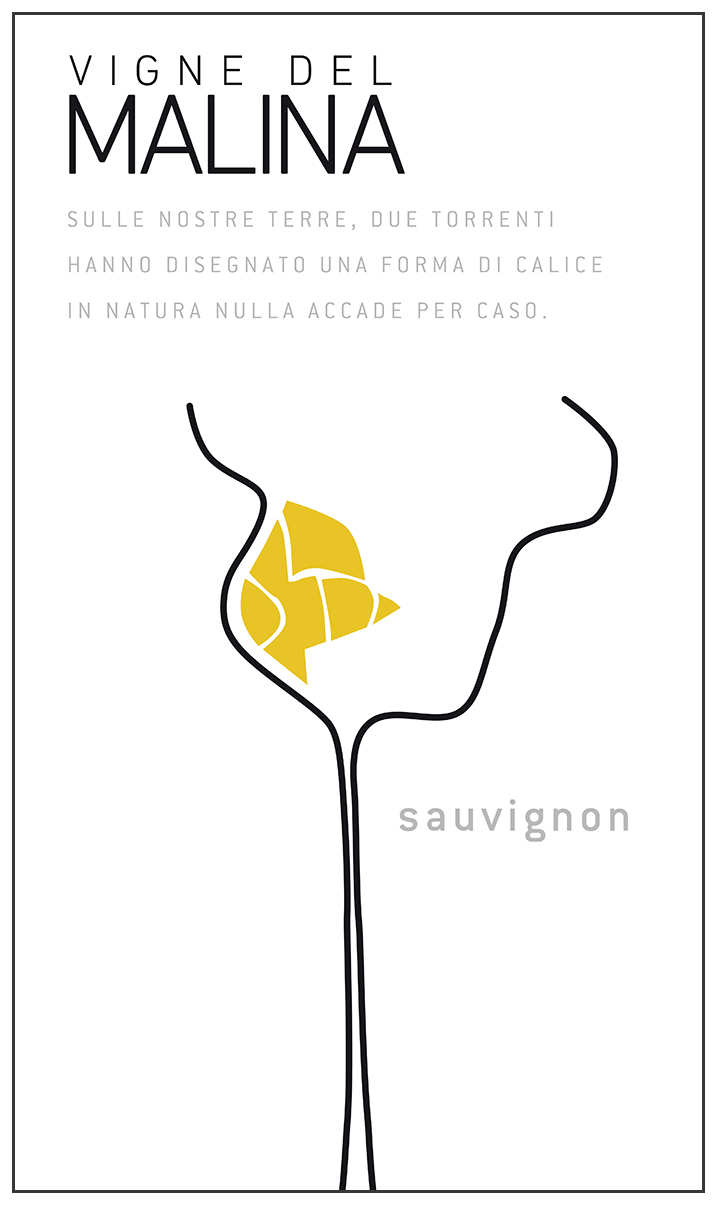 Sauvignon 2012