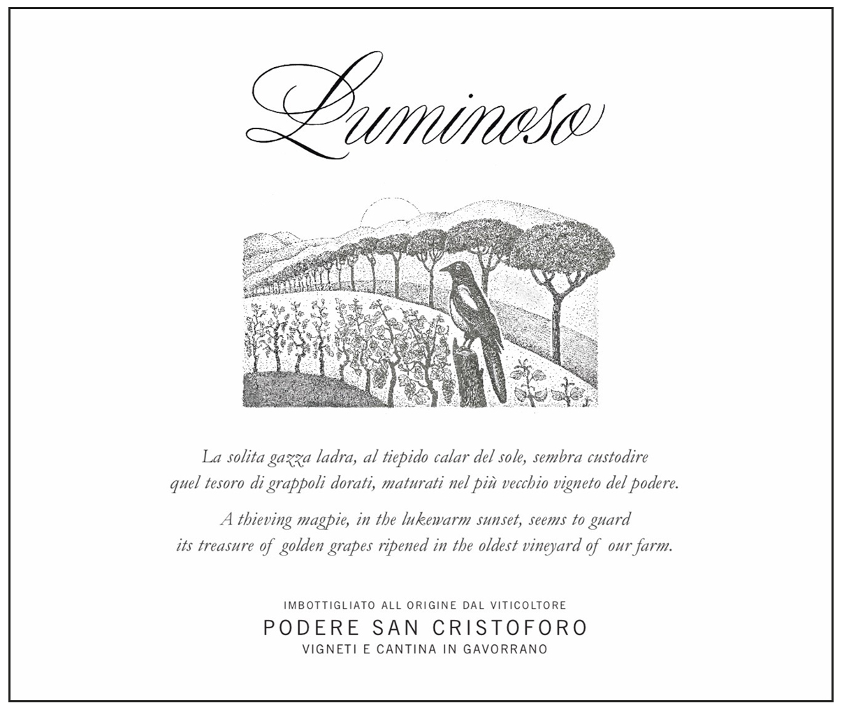 Luminoso 2020