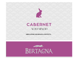 Cabernet Alto Mincio 2009