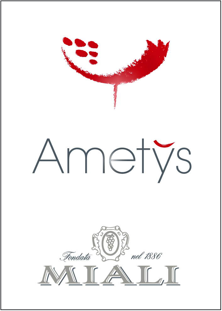 Ametys 2012