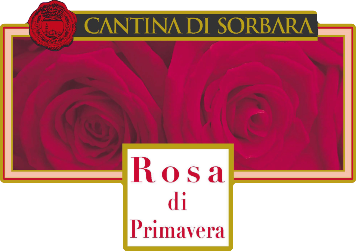 Rosa di Primavera sa