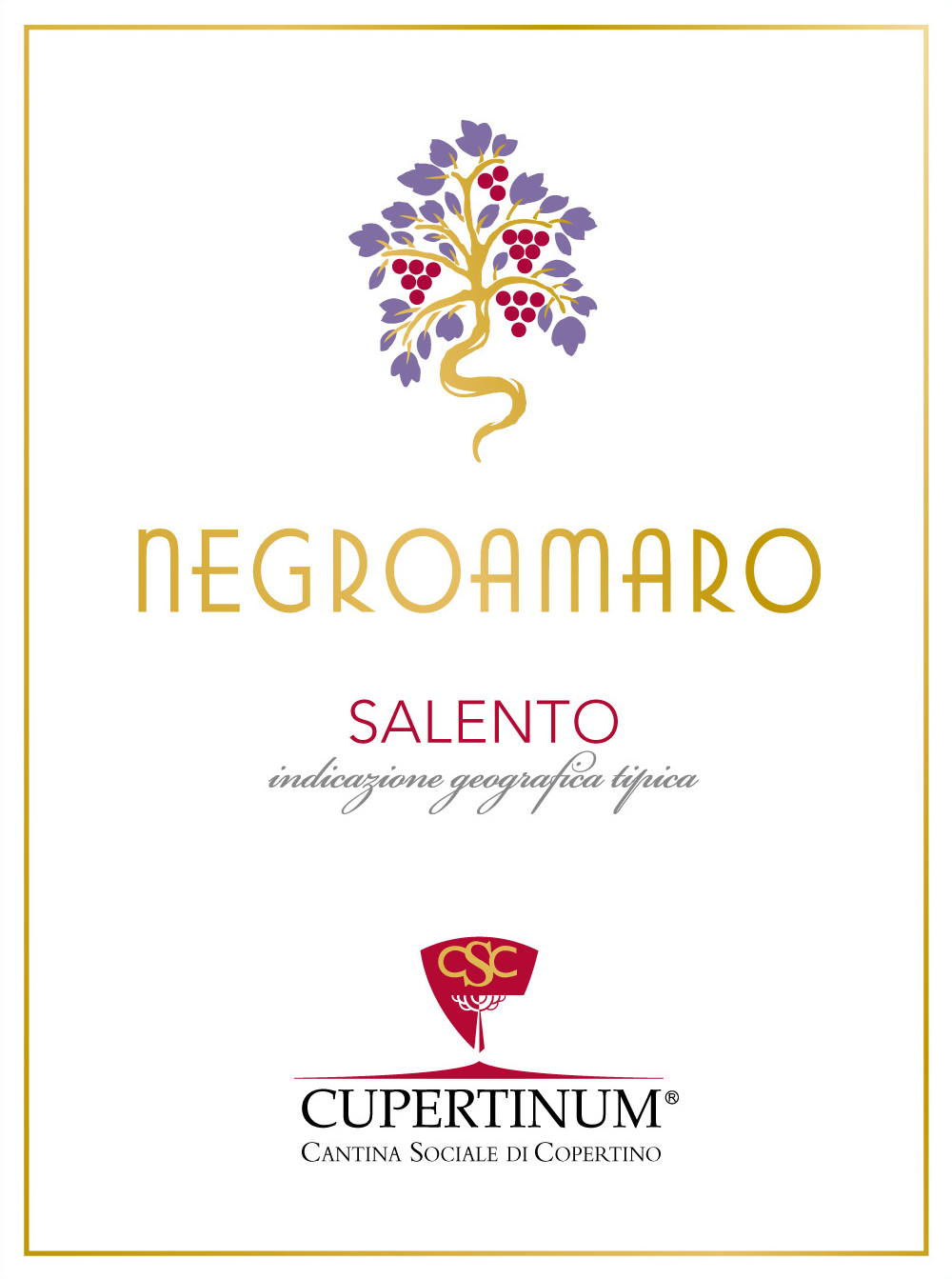 Negroamaro Salento 2009
