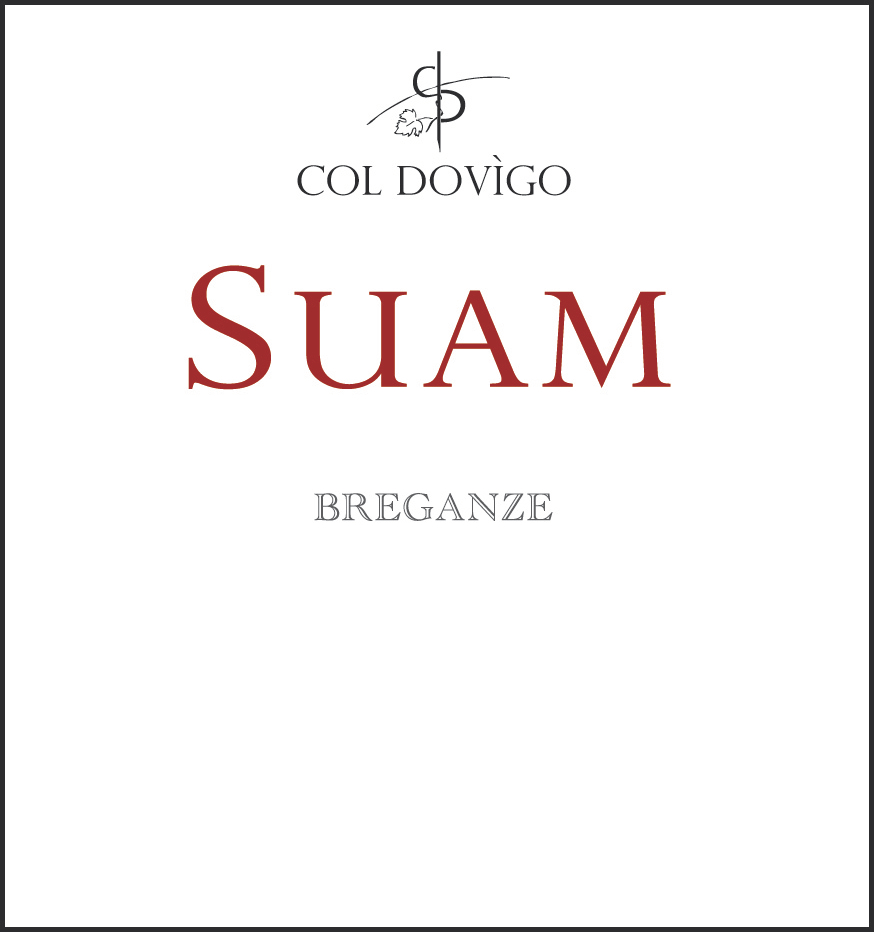 Suam Igt Veneto 2009