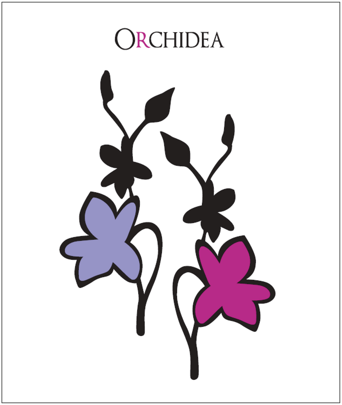Orchidea 2011