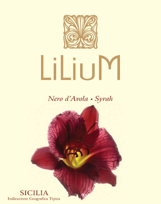 Lilium 2008