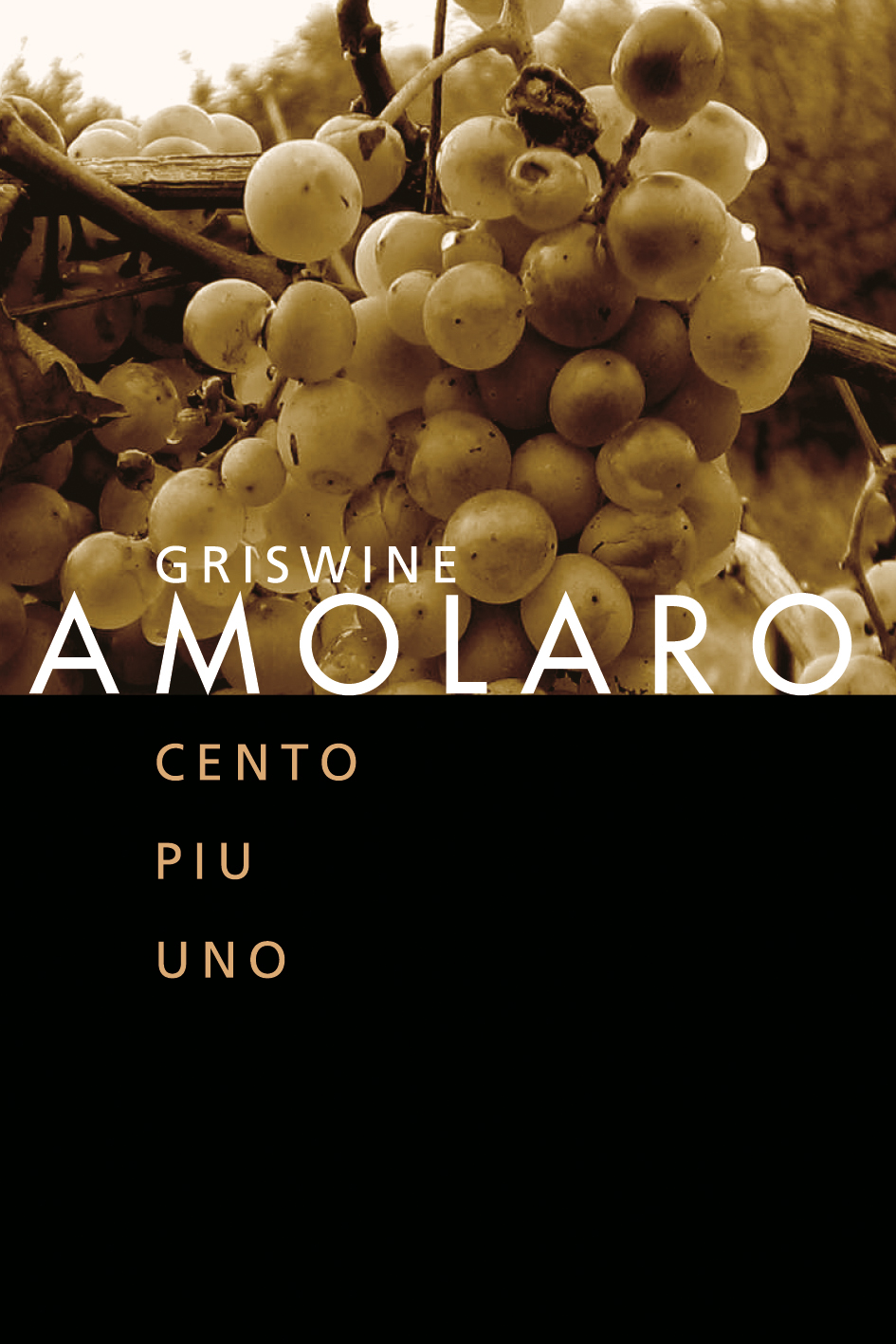 Amolaro 2008