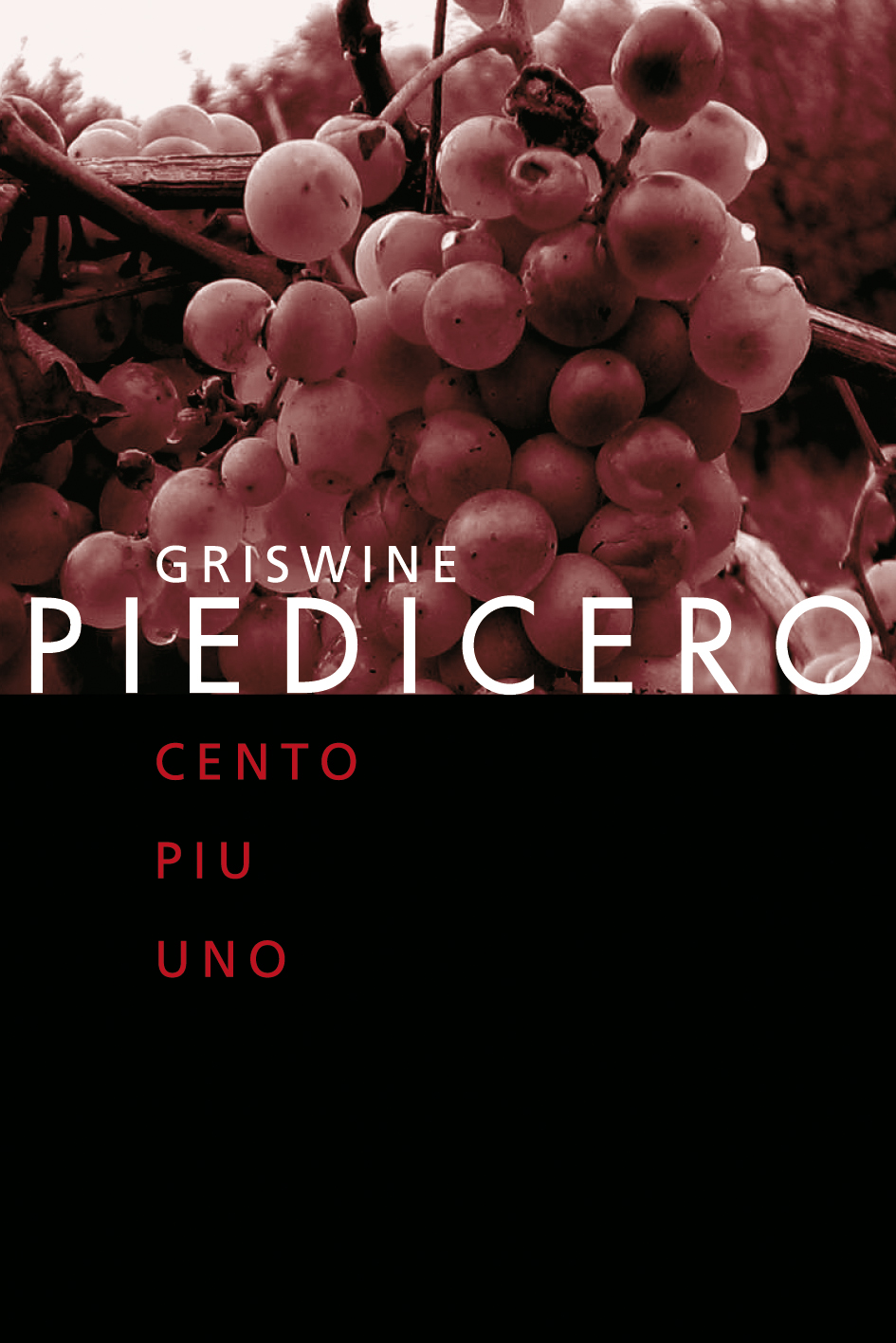 Piedicero 2007