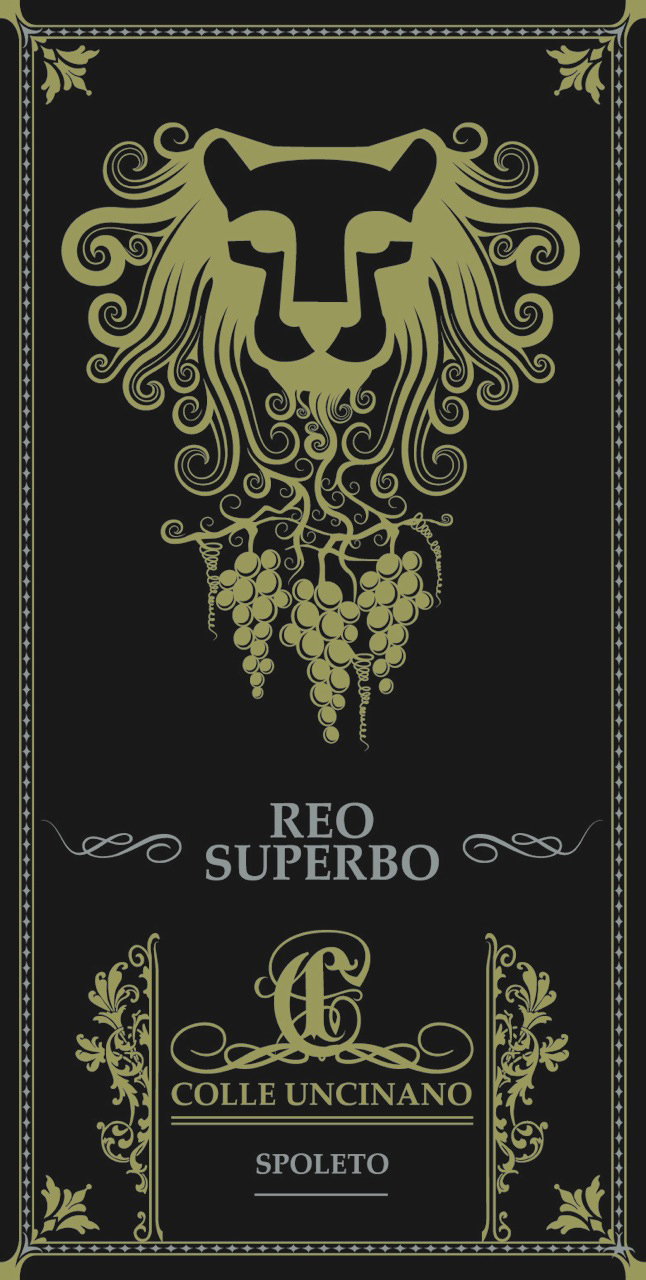 Reo Superbo 2010