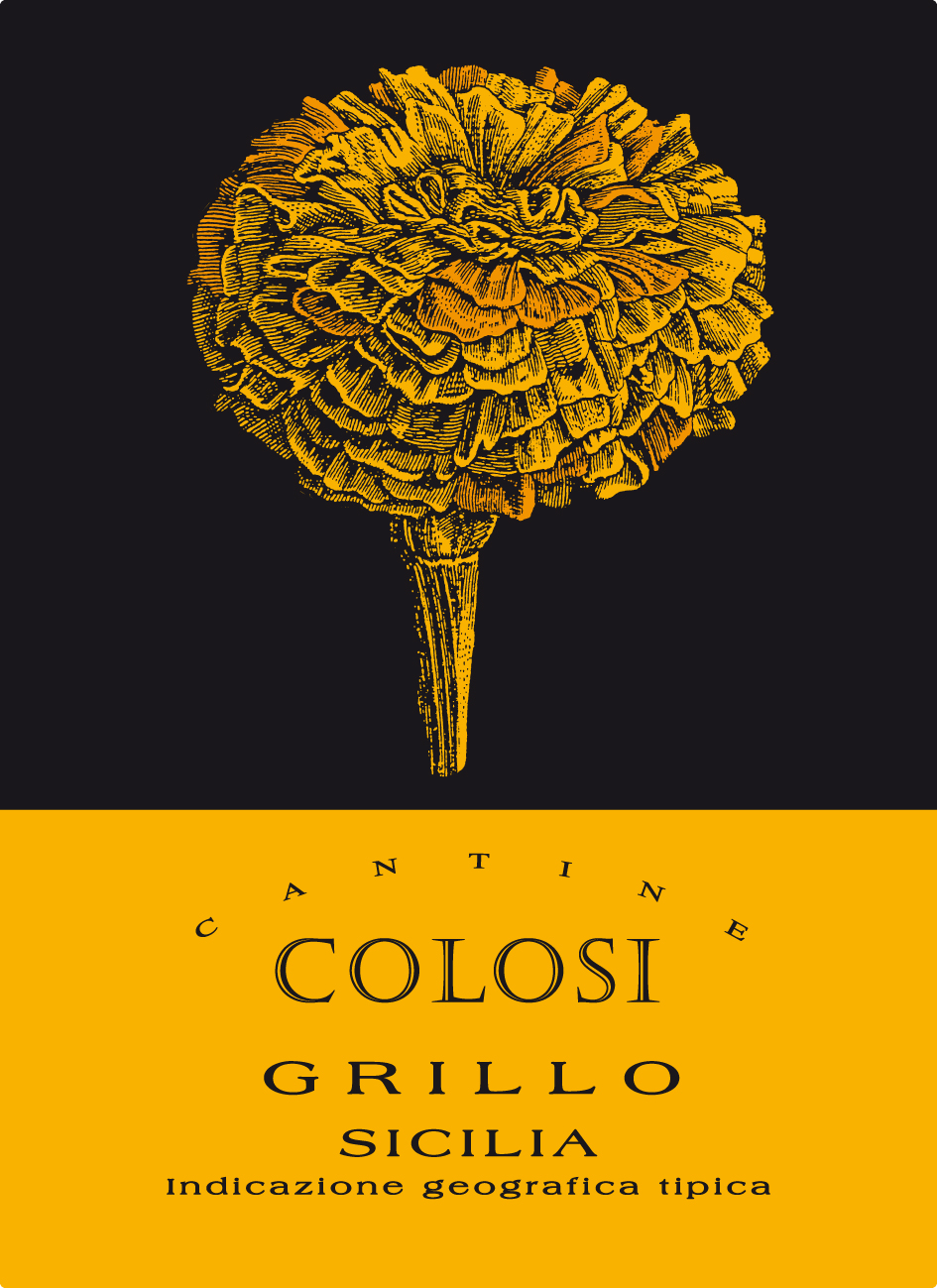 Grillo 2020