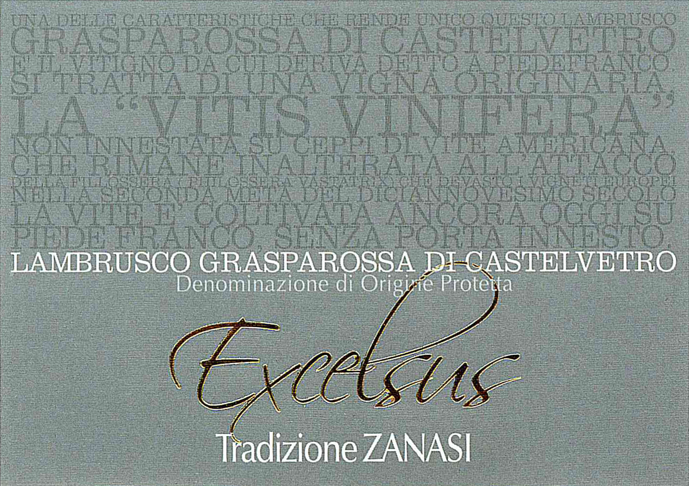 Lambrusco Grasparossa di Castelvetro Secco Excelsus sa