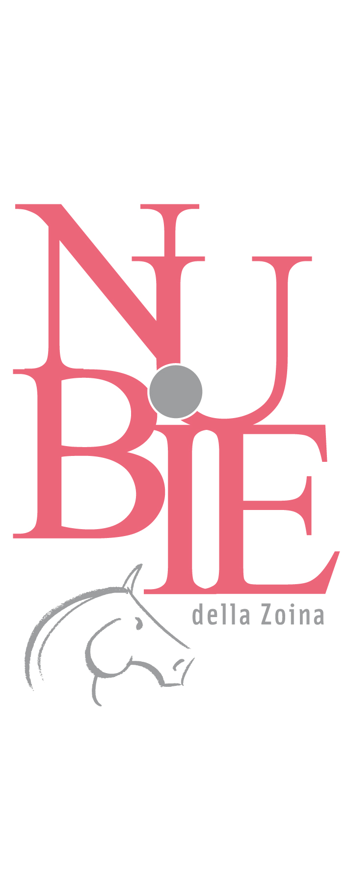 Colline Novaresi Doc Nebbiolo Nubie della Zoina 2010