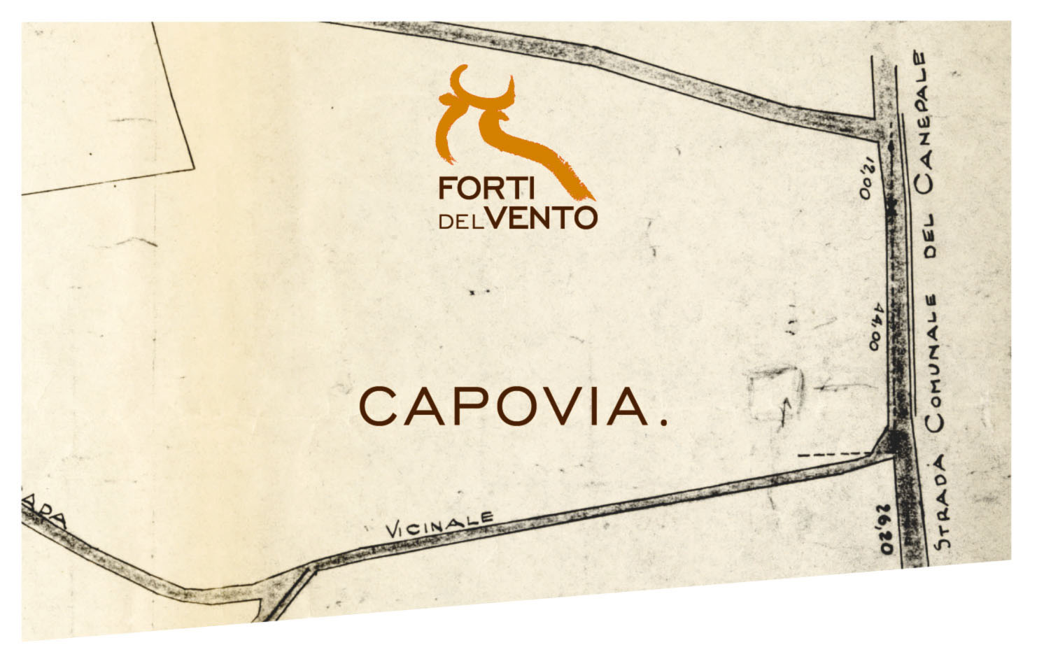 Capovia 2008