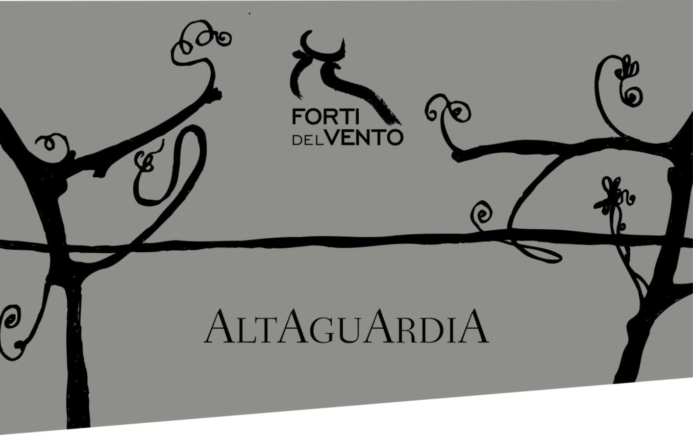Altaguardia 2009