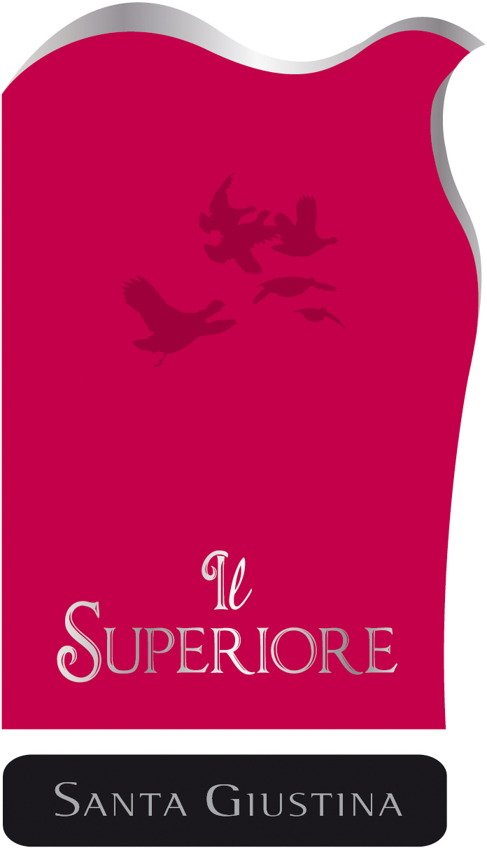 Gutturnio Superiore 2010