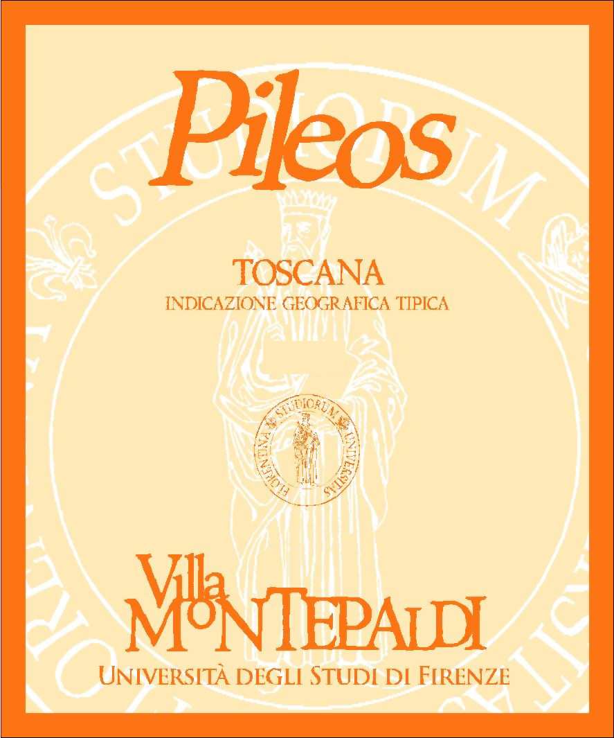 Pileos 2008