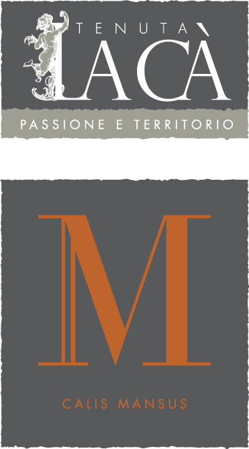 Calis Mansus Veneto Rosso Igt 2008