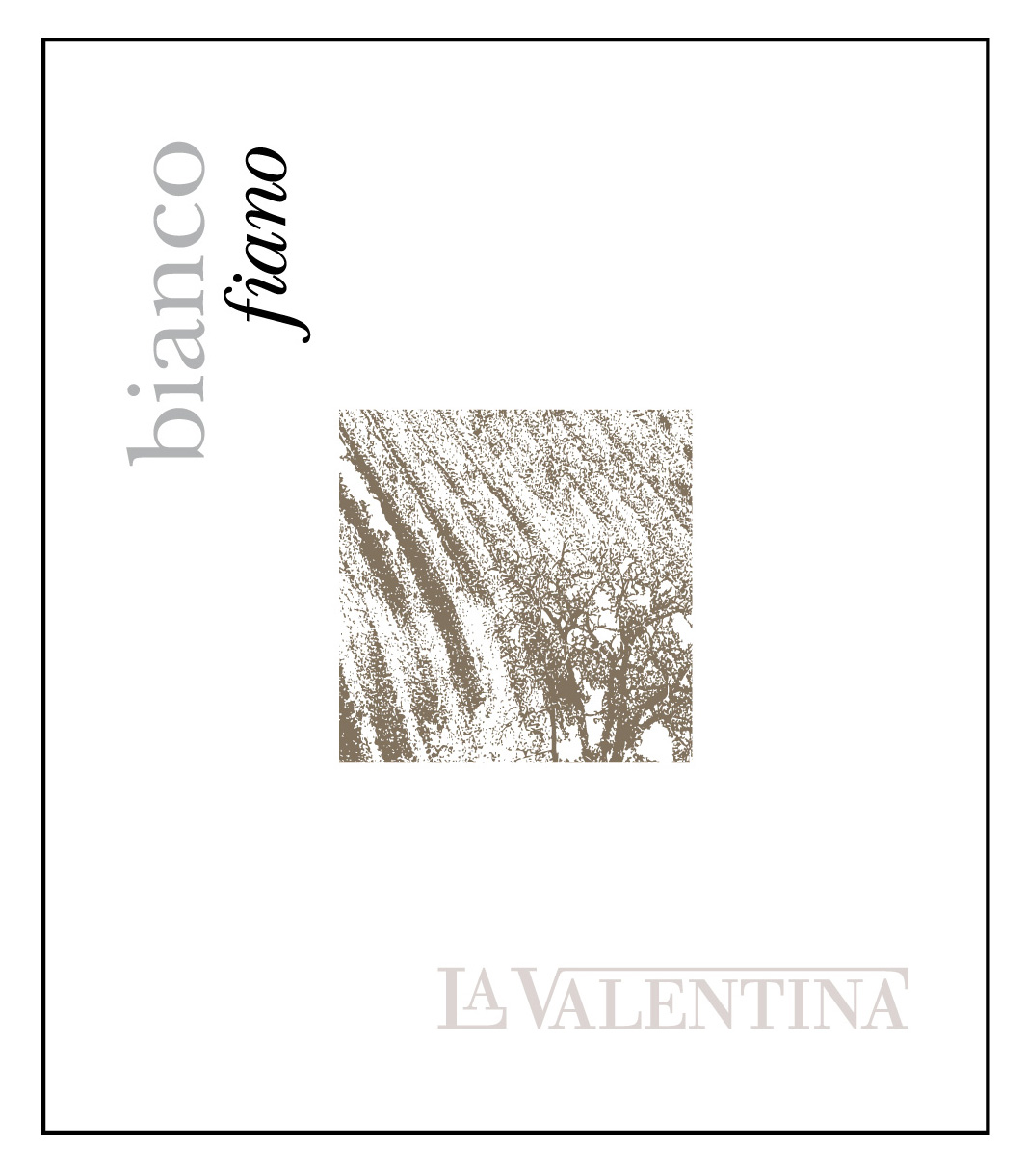 Fiano Colline Pescaresi Bianco La Valentina 2013