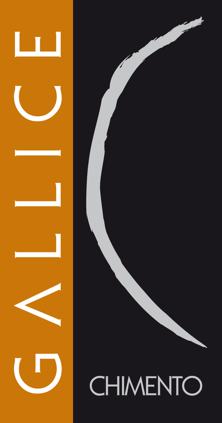 Gallice 2010