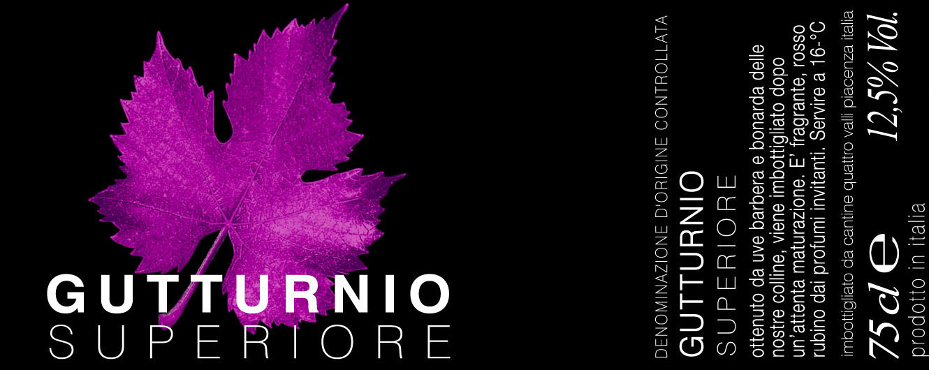 Gutturnio Superiore Doc 2010