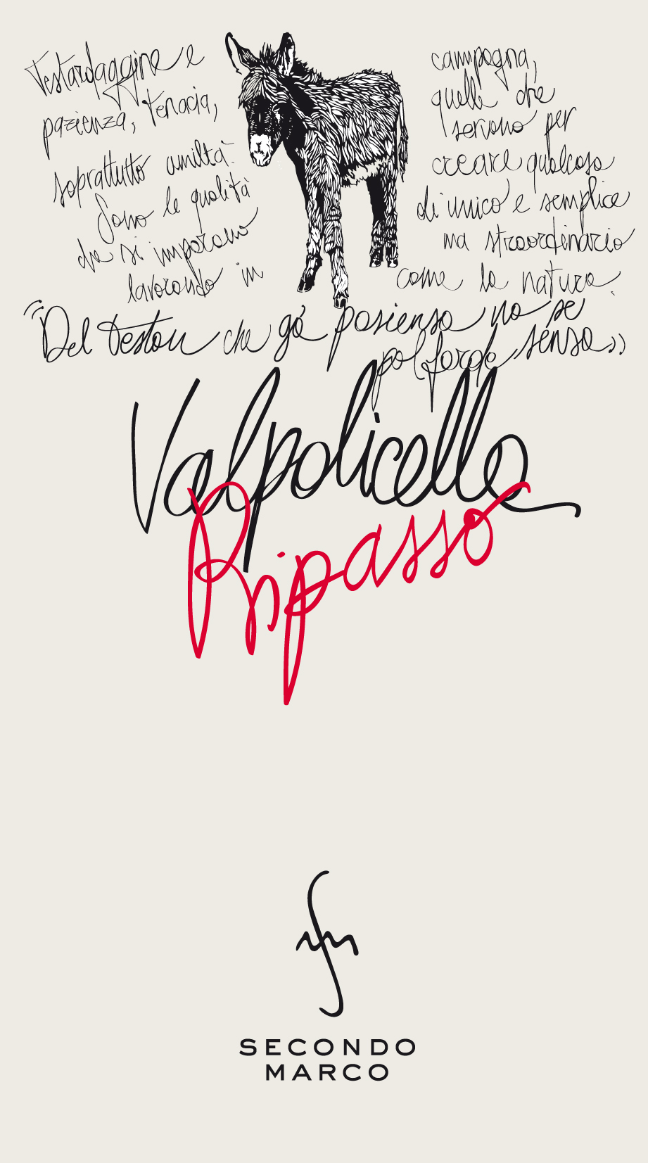 Valpolicella Doc Classico Superiore Ripasso 2010