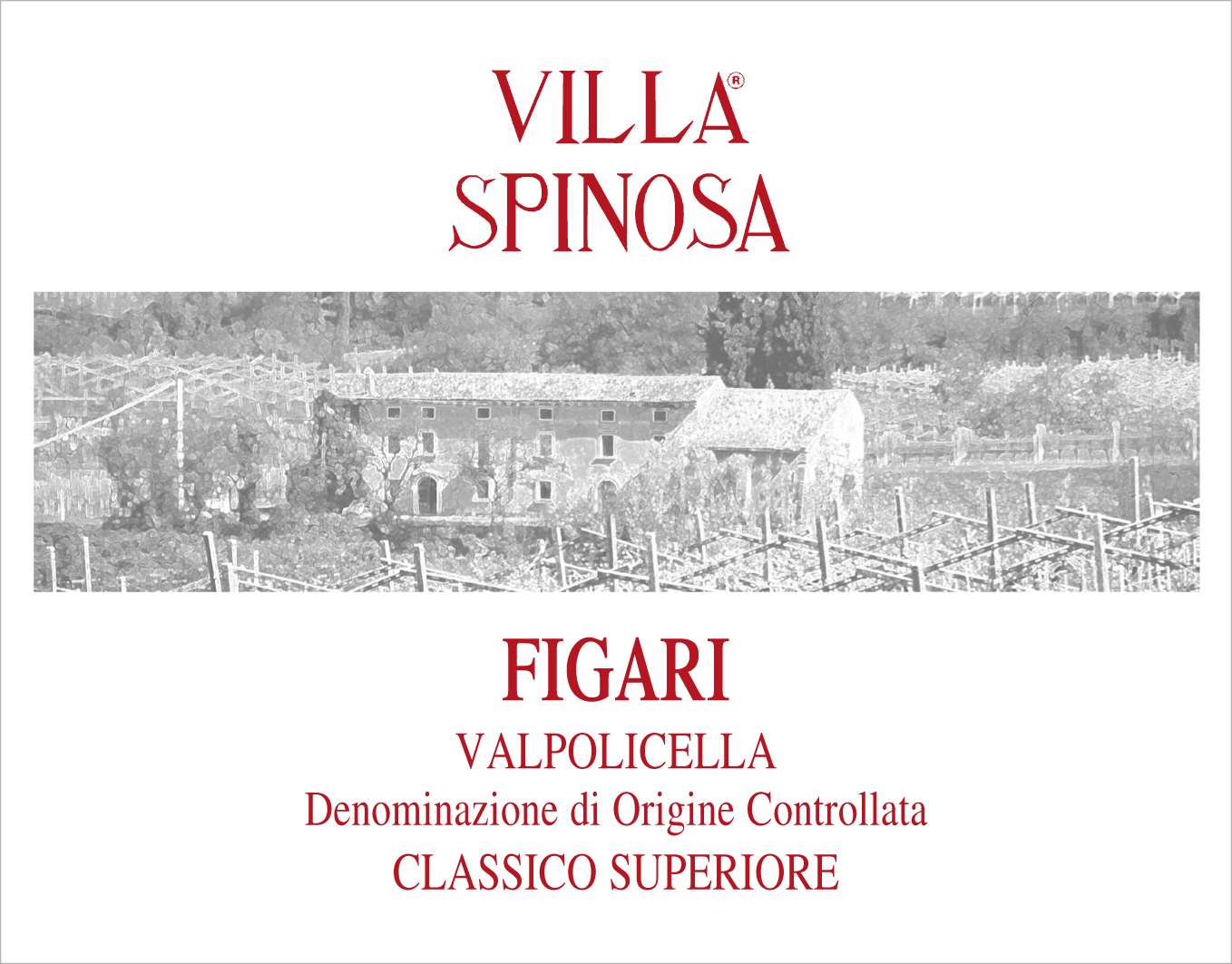Valpolicella Superiore Figari 2008