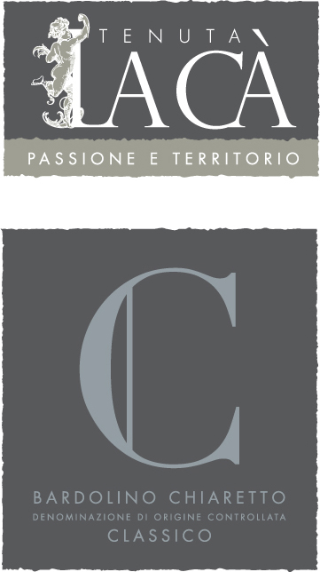 Bardolino Chiaretto Classico Doc 2010