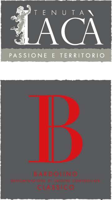 Bardolino Classico Doc 2011