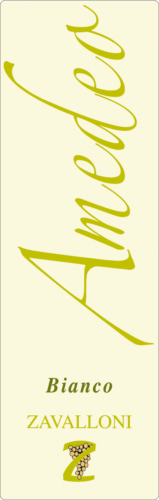 Amedeo Bianco 2011