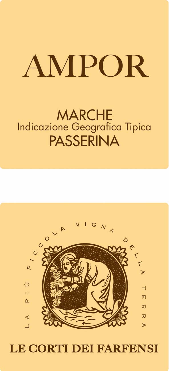 Passerina Ampor 2012