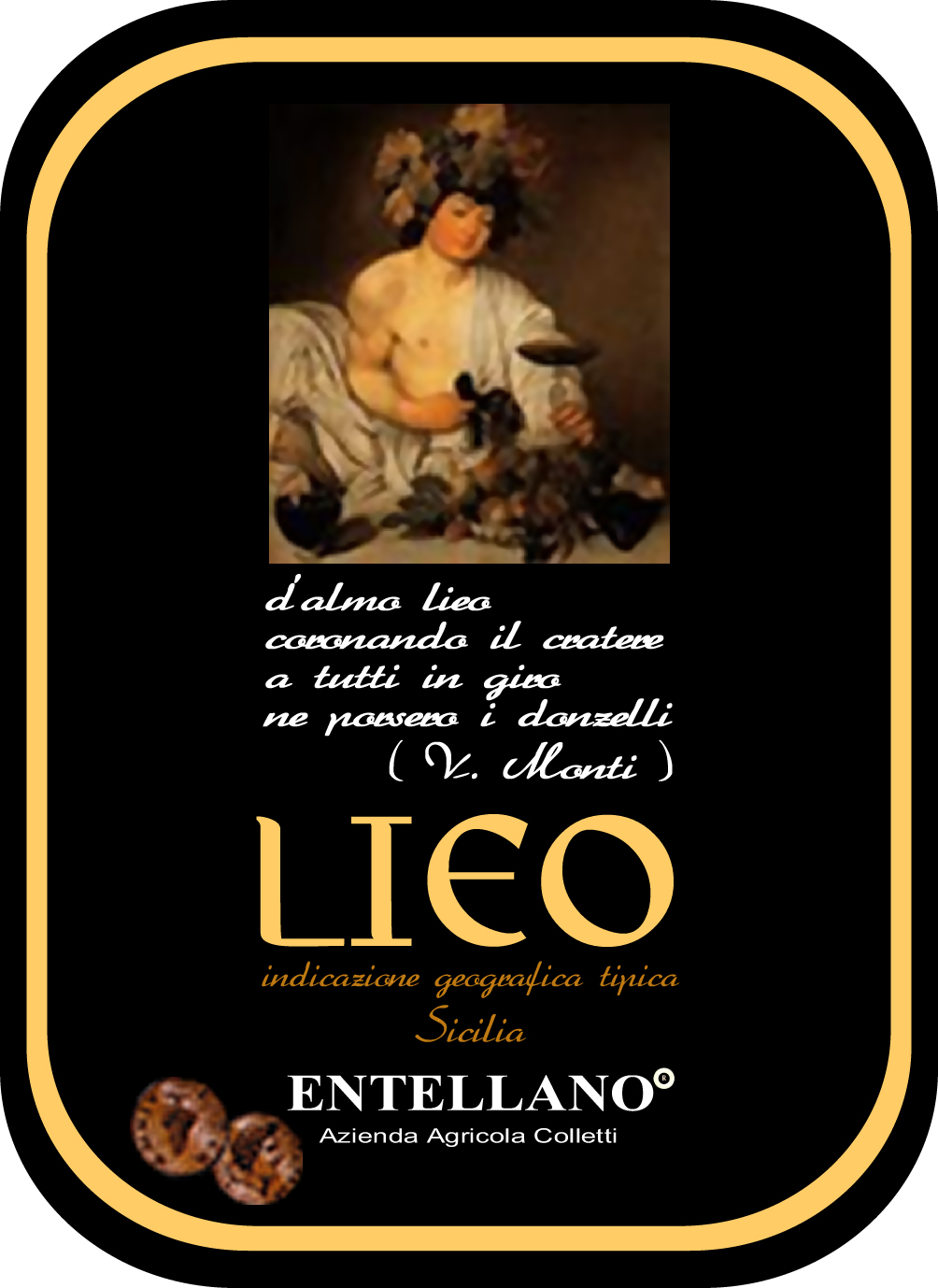 Lieo 2010