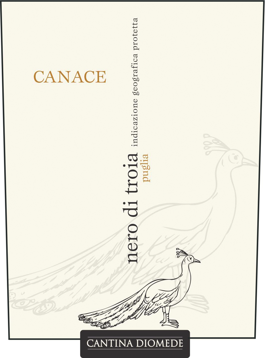Canace Nero di Troia 2013