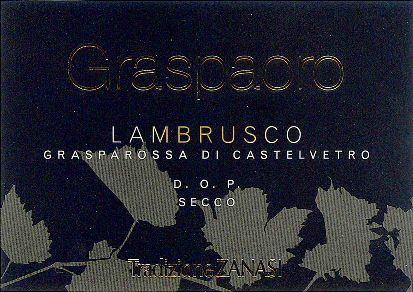Graspaoro Lambrusco Grasparossa di Castelvetro Secco sa
