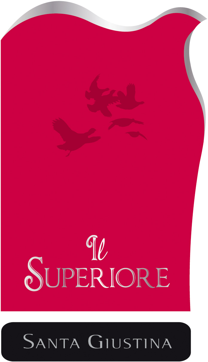 Gutturnio Il Superiore 2011