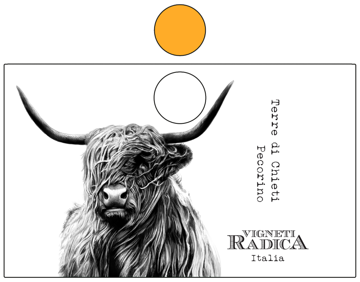 Pecorino Terre di Chieti 2012