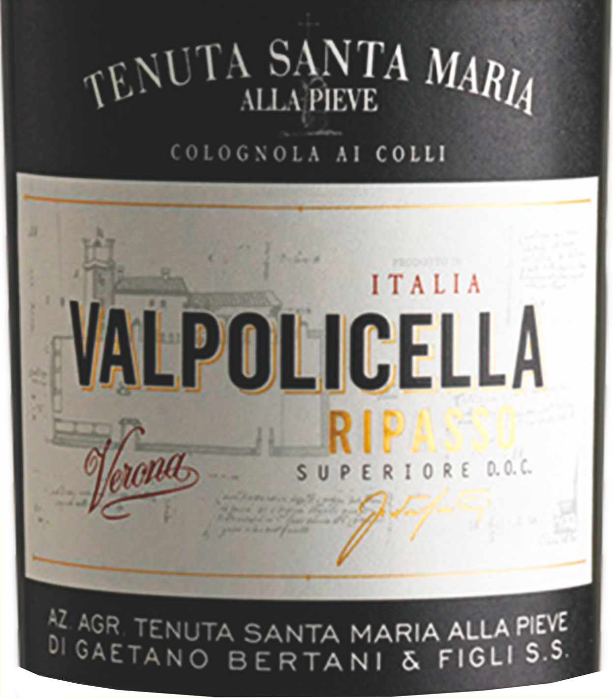 Valpolicella Classico Superiore Ripasso Doc 2016