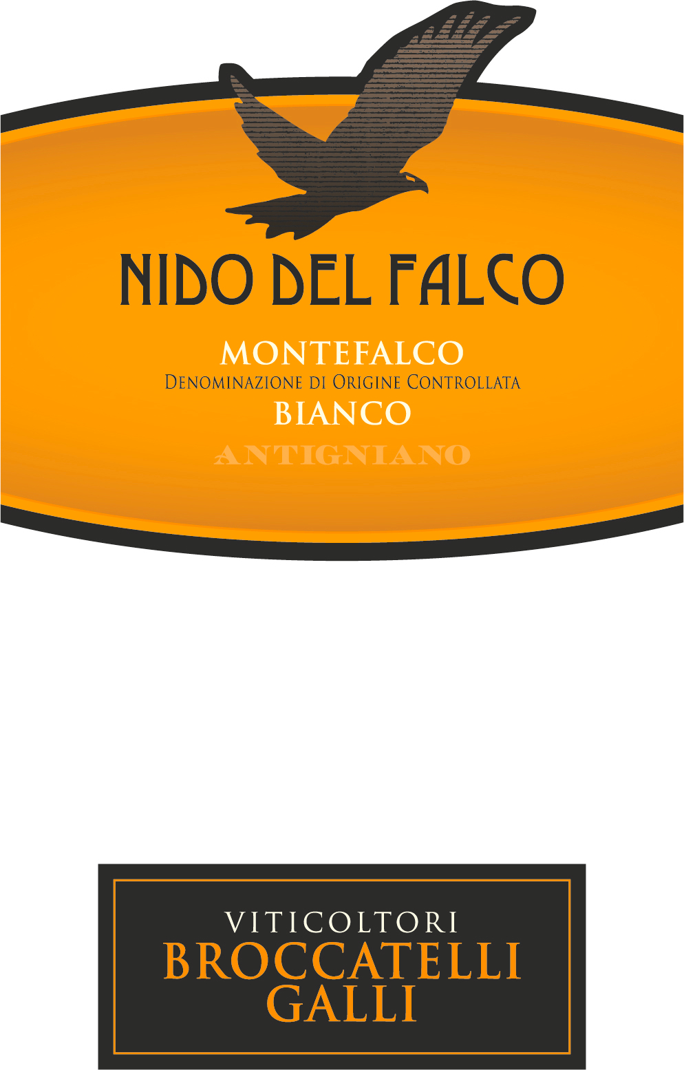 Nido del Falco Montefalco Bianco Broccatelli Galli 2013