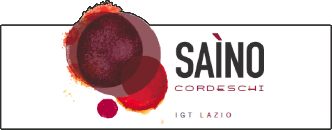 Saìno 2011