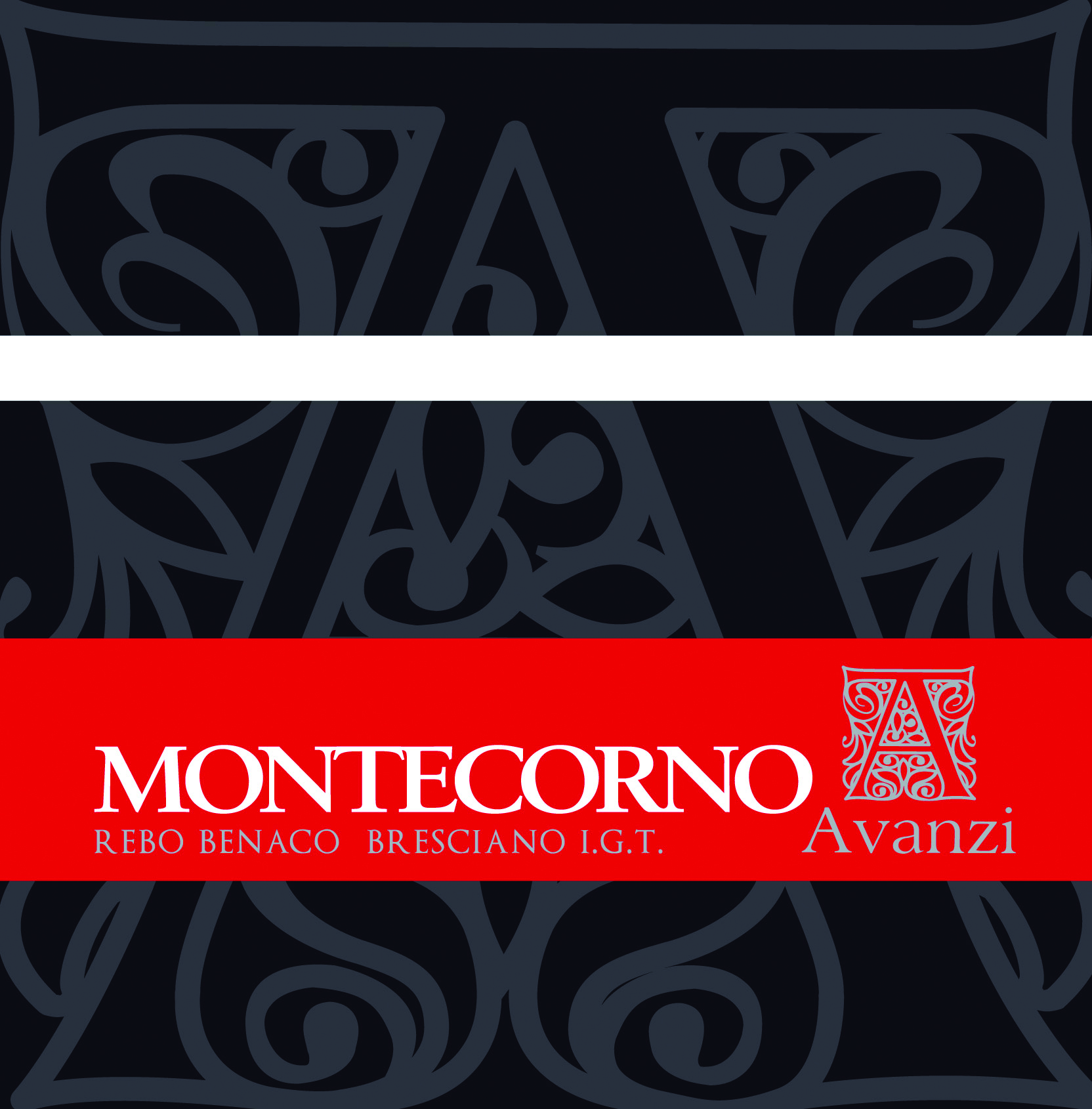 Montecorno 2016