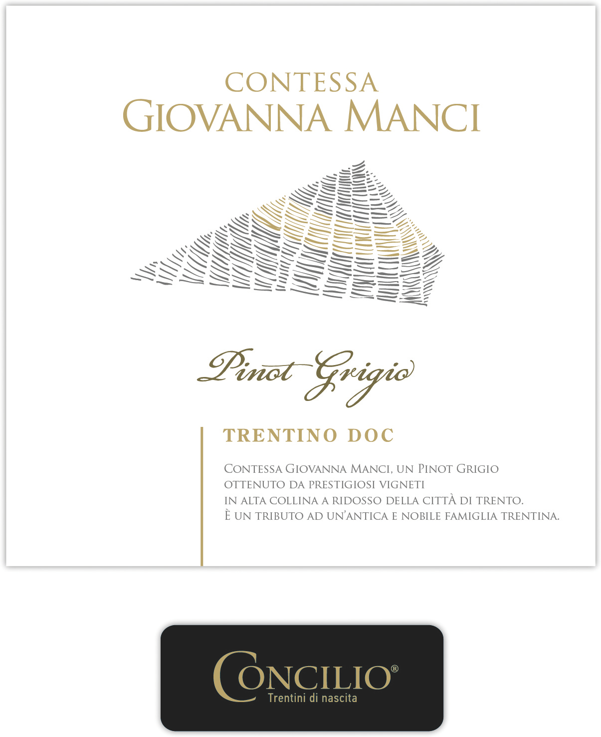 Pinot Grigio Contessa Giovanna Manci 2012