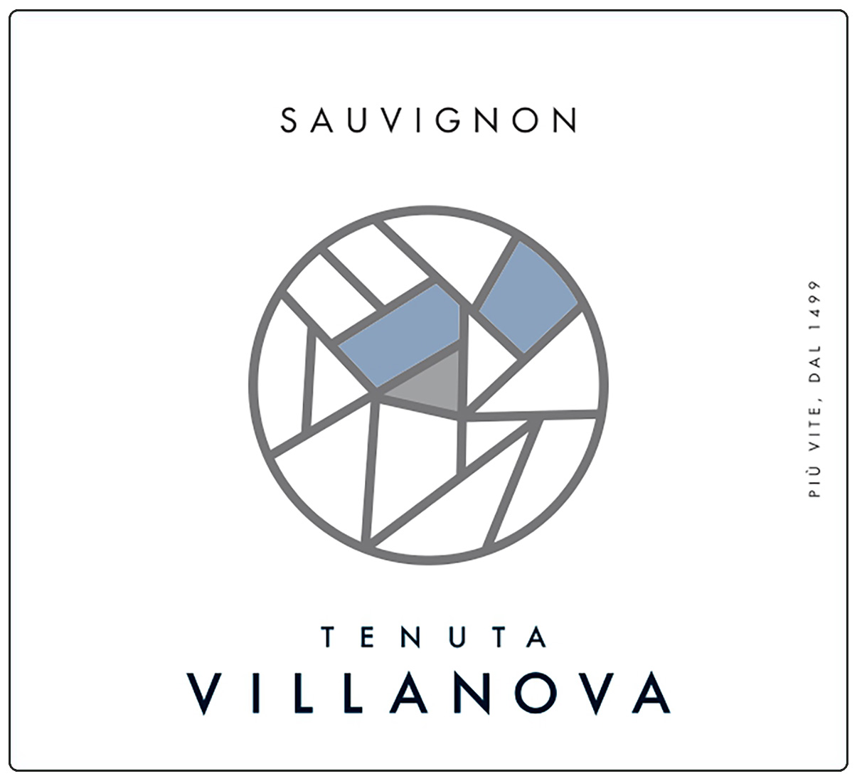 Sauvignon Isonzo 2025