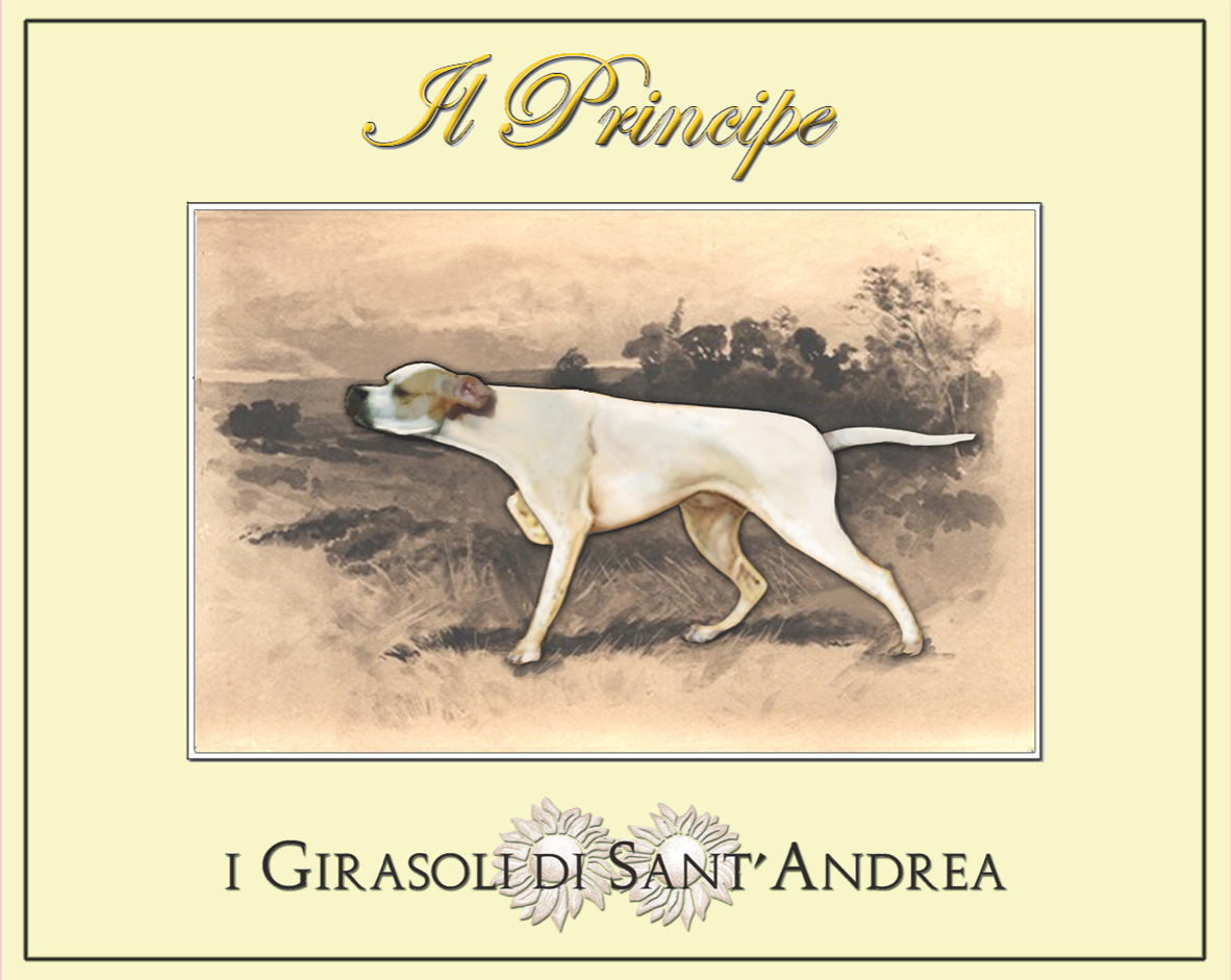 Il Principe 2013
