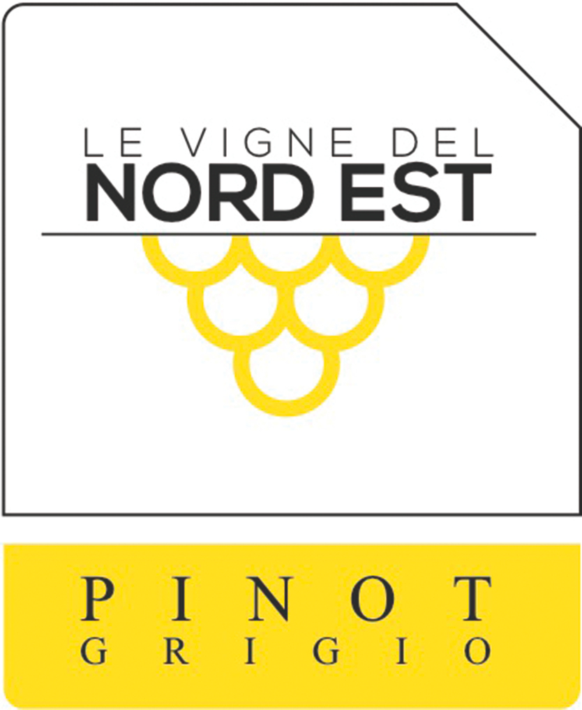 Pinot Grigio 2013