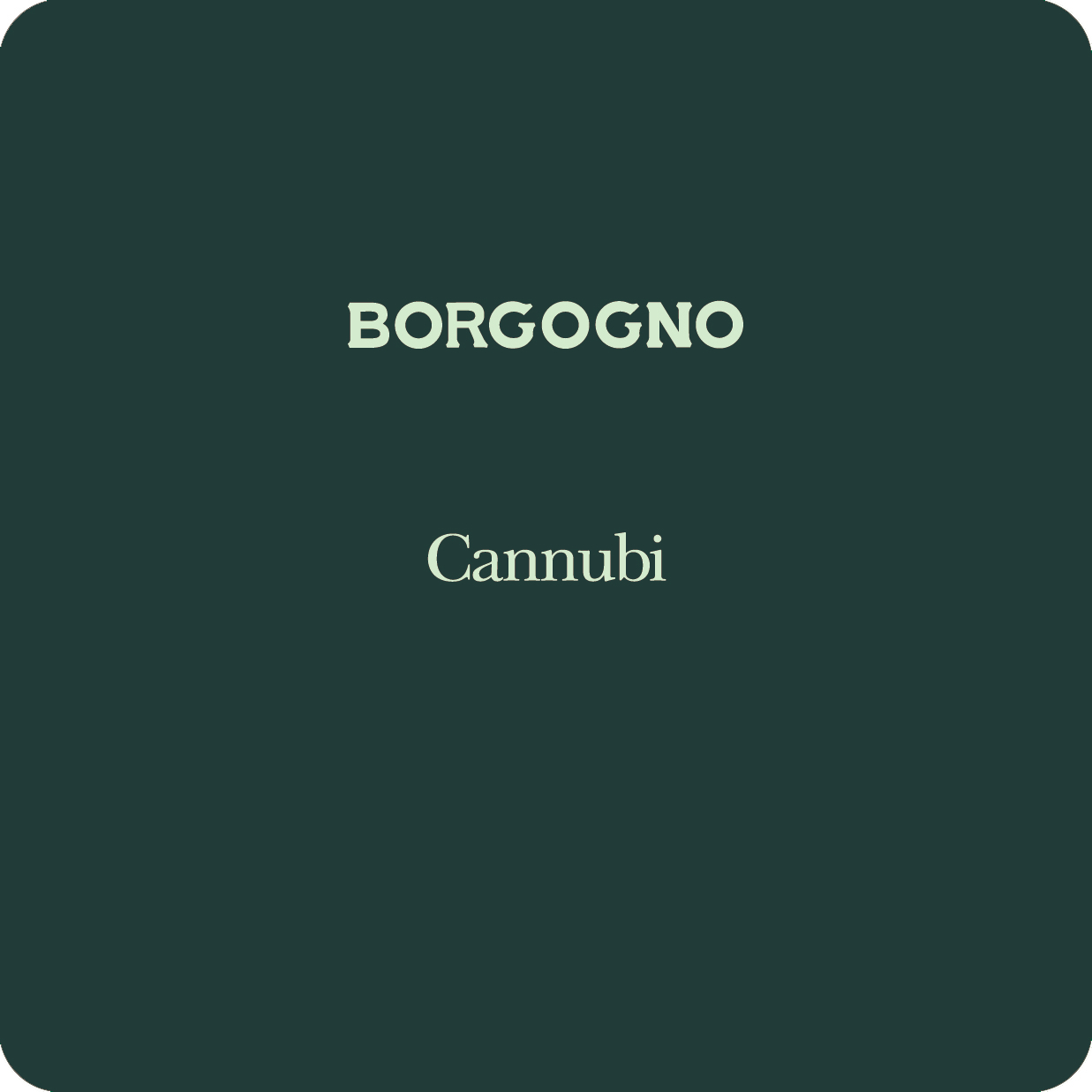 Barolo Cannubi 2008