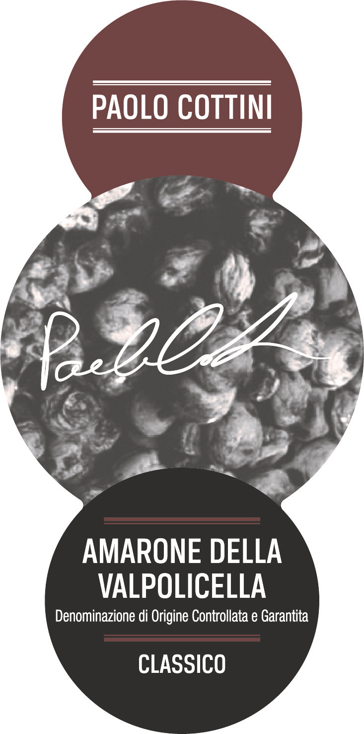 Amarone della Valpolicella Classico 2008