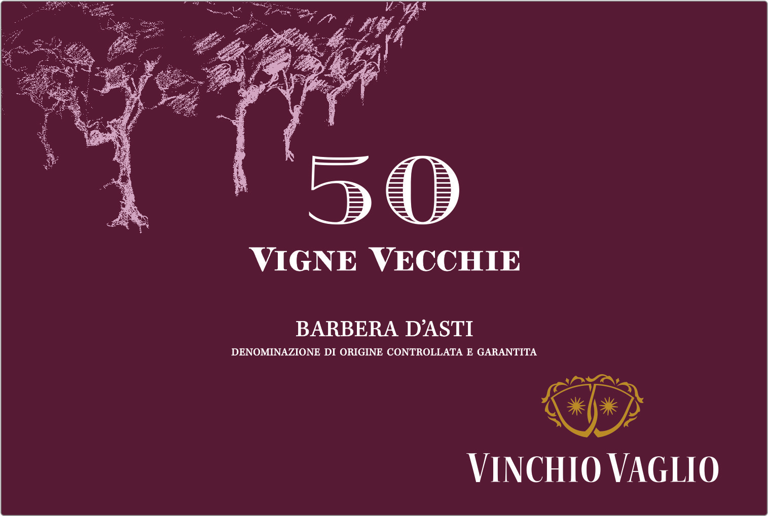 Barbera d'Asti Vigne Vecchie 50° 2020