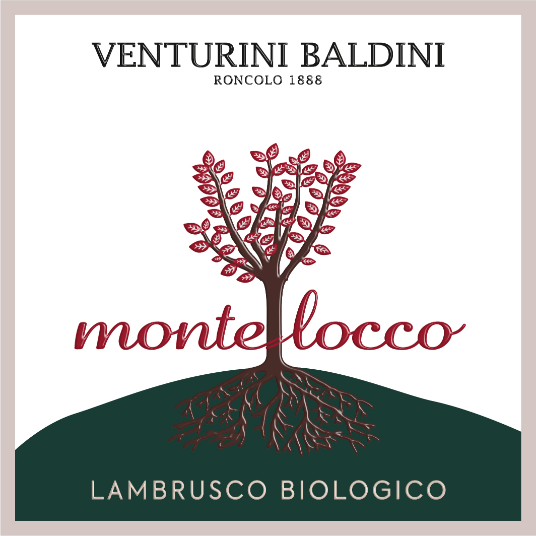 Montelocco sa