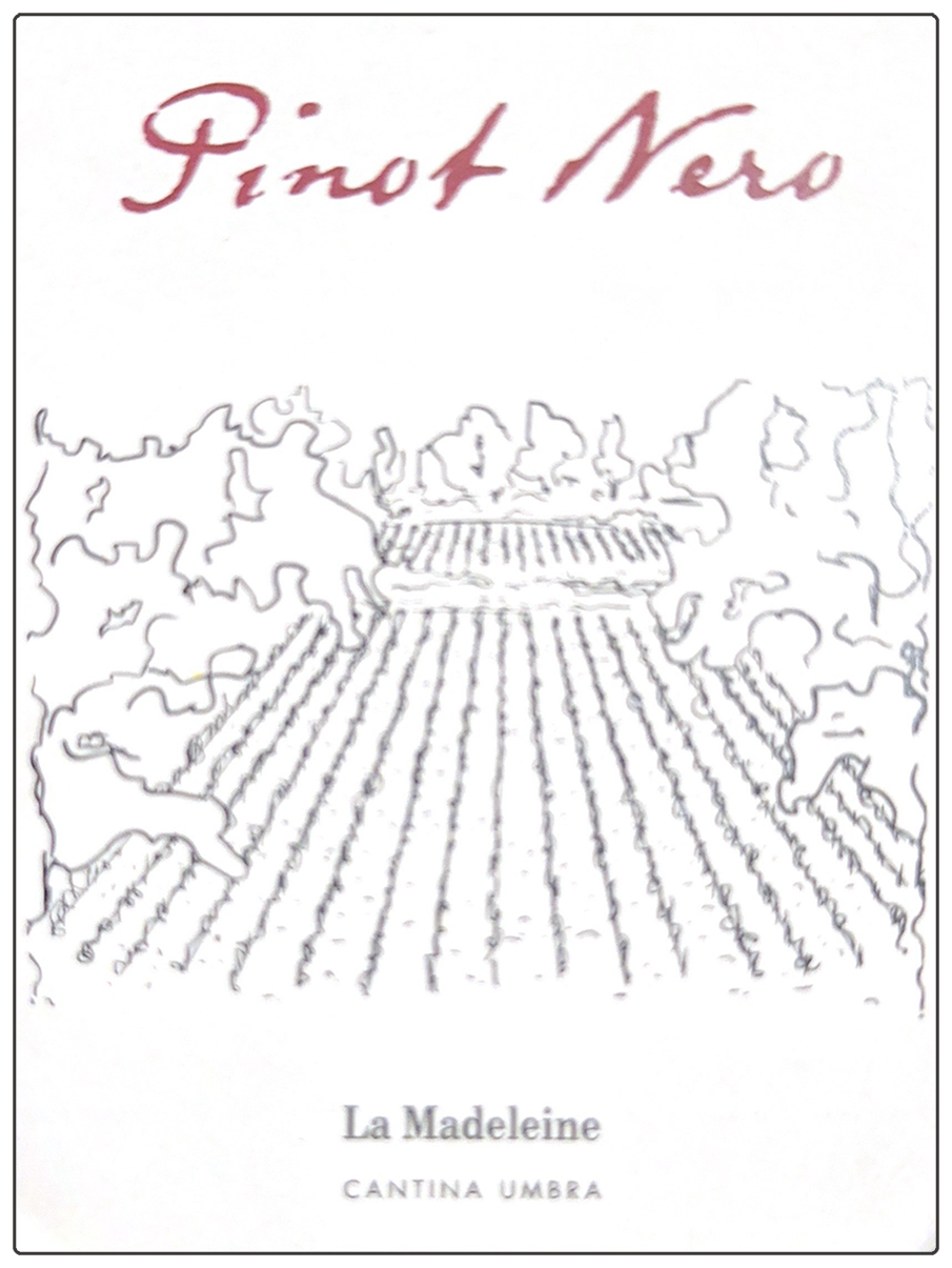 Pinot Nero Umbria 2015