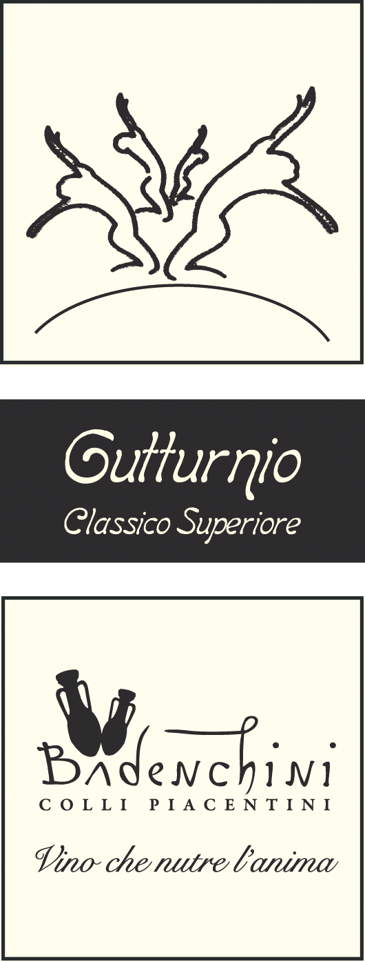 Gutturnio Classico Superiore 2015