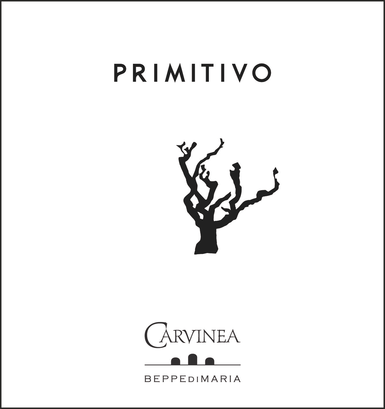 Primitivo 2013