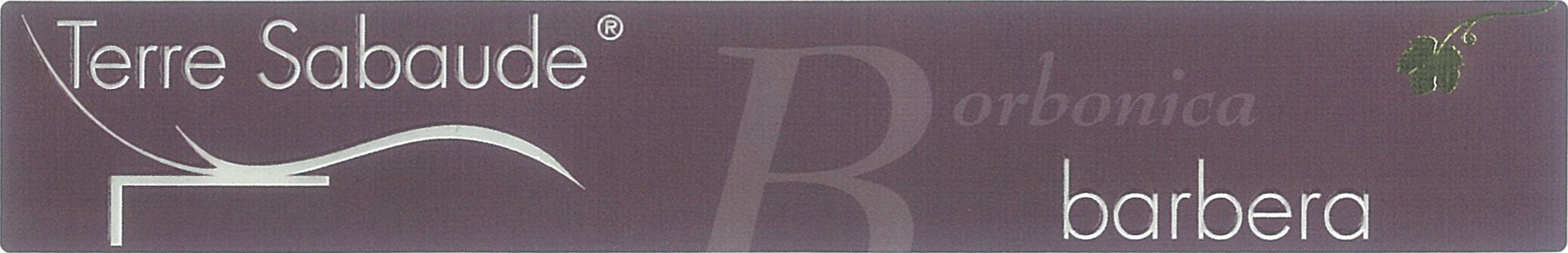 Barbera d'Alba Terre Sabaude Borbonica 2011